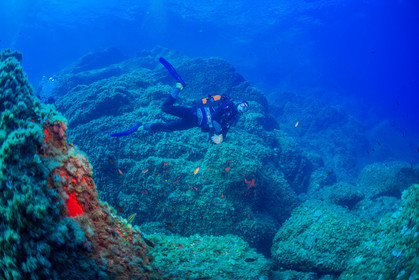Plongée-sous-marine
