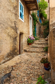 Pigna