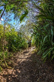 Ile de La Réunion