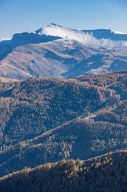 Auron