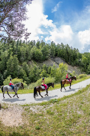 Equitation