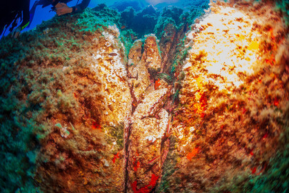 Plongée-sous-marine