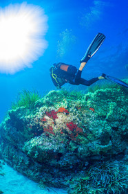 Plongée-sous-marine