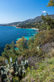Cavalière