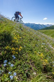Vtt