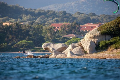 Figari