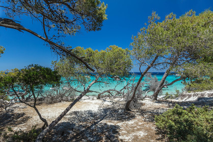 Saleccia