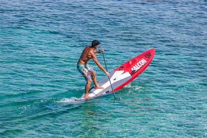 Paddle