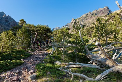 Monte Cinto