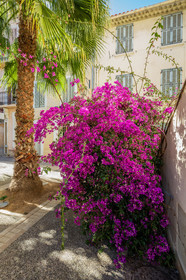 La Seyne-sur-Mer