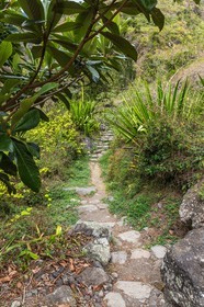 Ile de La Réunion