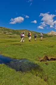 GR 20 Nord