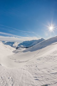 Auron