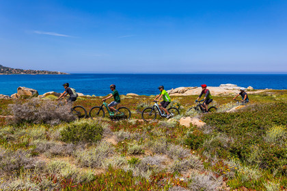 Vtt