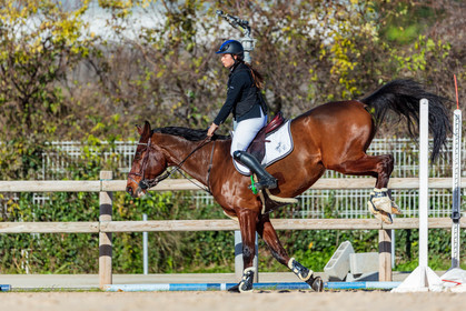 Equitation