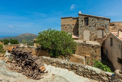 Belgodère