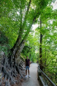 Gorges du Fier