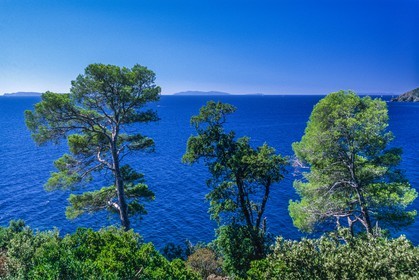 Cavalaire