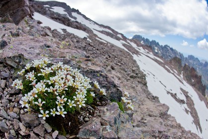Monte Cinto