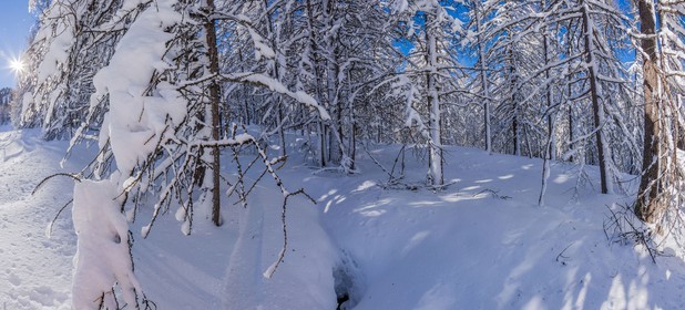 Isola 2000