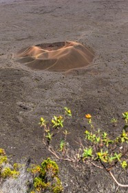 Ile de La Réunion