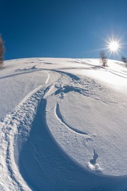 Auron