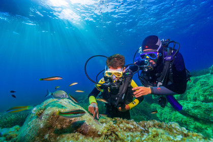 Plongée-sous-marine