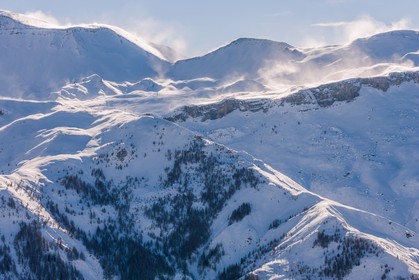 Auron
