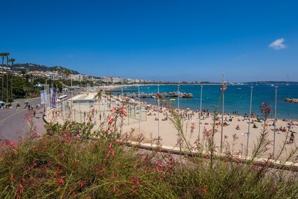 Cannes
