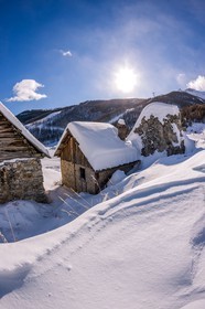 Auron