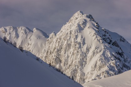 Isola 2000