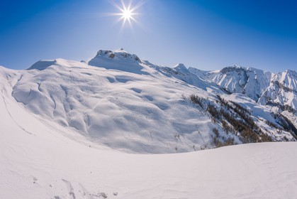 Auron