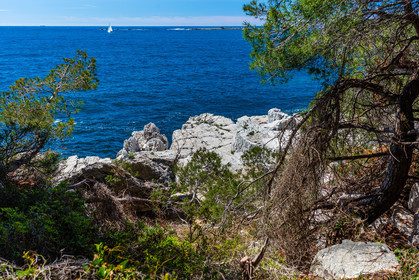 Lérins Sainte-Marguerite