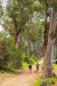 Lérins Sainte-Marguerite