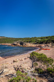 Rondinara