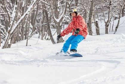 Snowboard