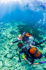 Plongée-sous-marine