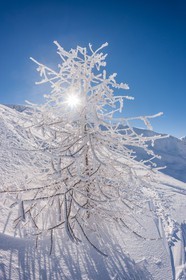 La Foux d'Allos