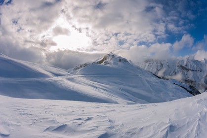 Auron