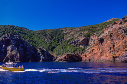 Scandola