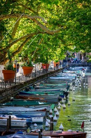 Canal du Vassé à Annecy