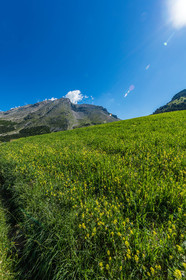 Col du Noyer