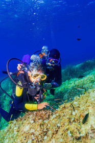 Plongée-sous-marine