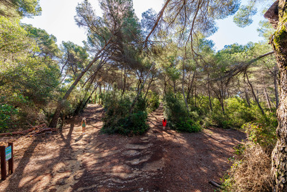 Lérins Sainte-Marguerite