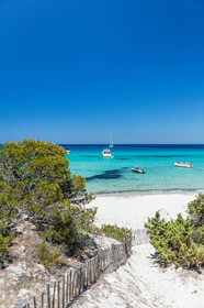 Saleccia