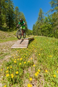 Vtt