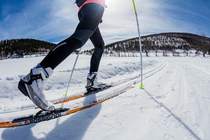 Ski-de-fond