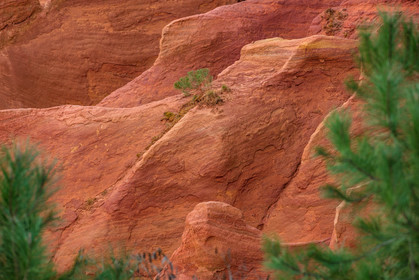 Roussillon