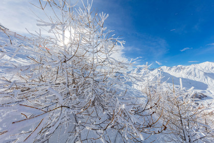 La Foux-d'Allos