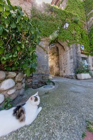 Auribeau-sur-Siagne